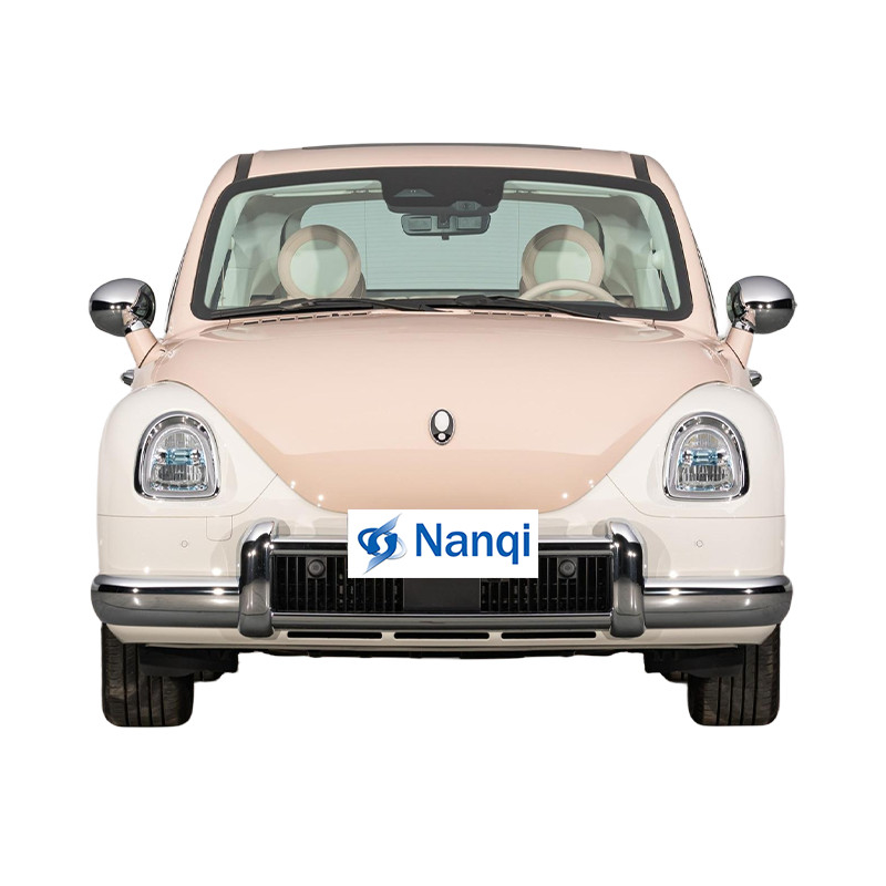 ORA Ballet Cat 500 km Veicolo elettrico puro 5 porte 5 posti hatchback