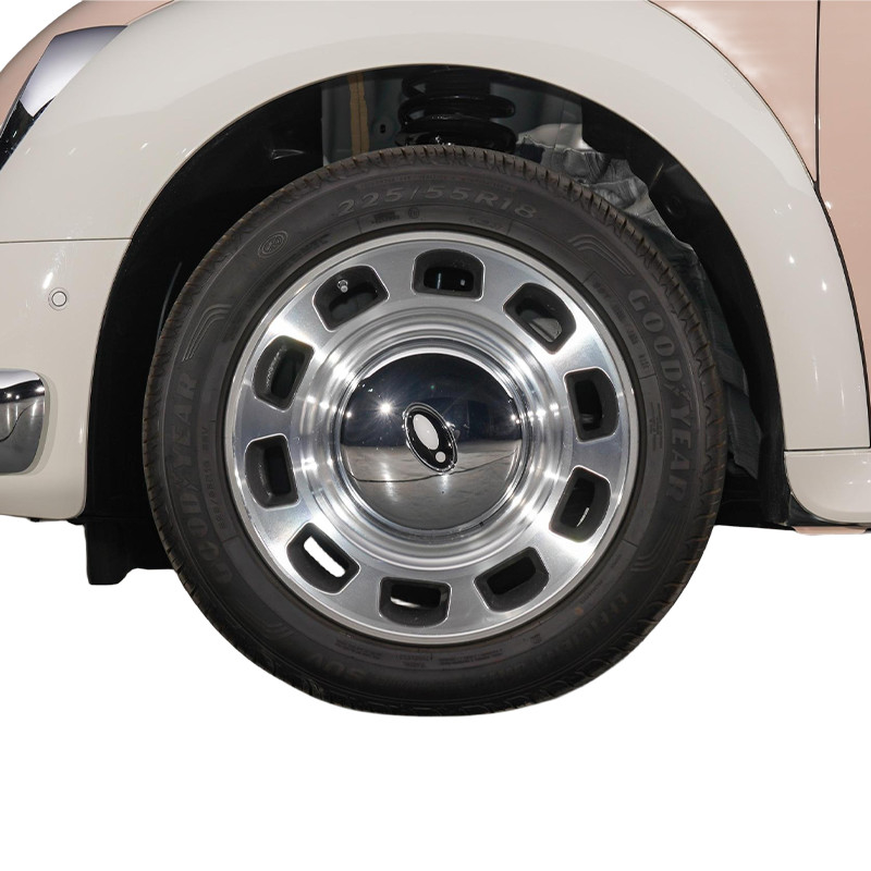 ORA Ballet Cat 500 km Veicolo elettrico puro 5 porte 5 posti hatchback