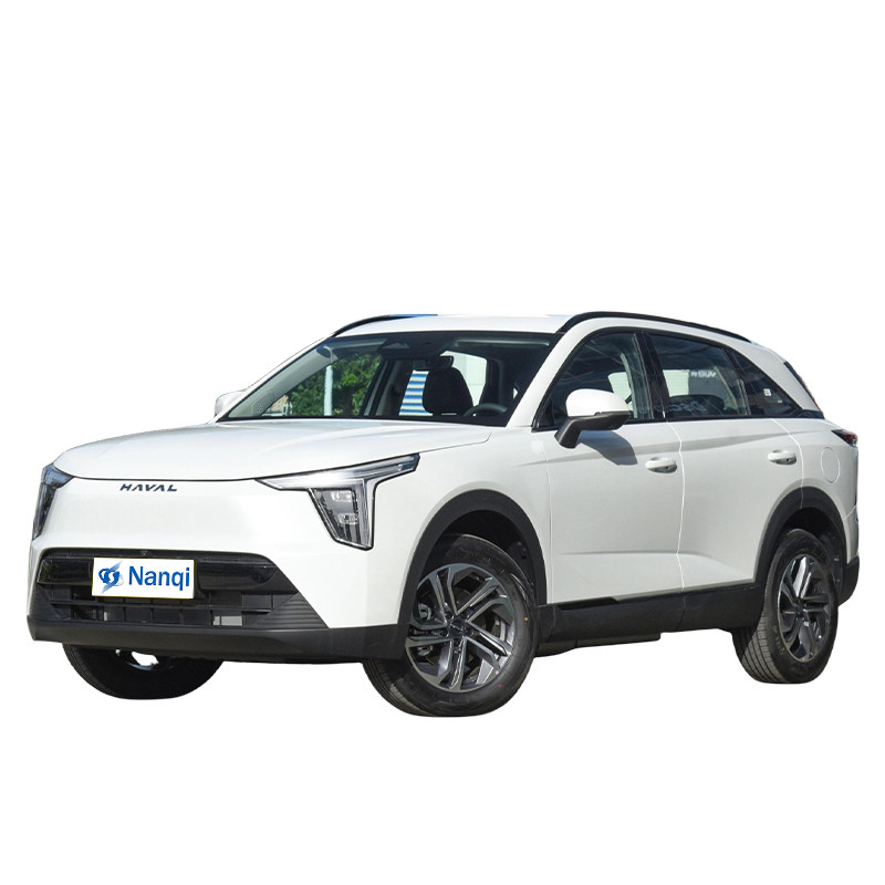 5 porte 5 posti in auto ibrida Haval Xiaolong
