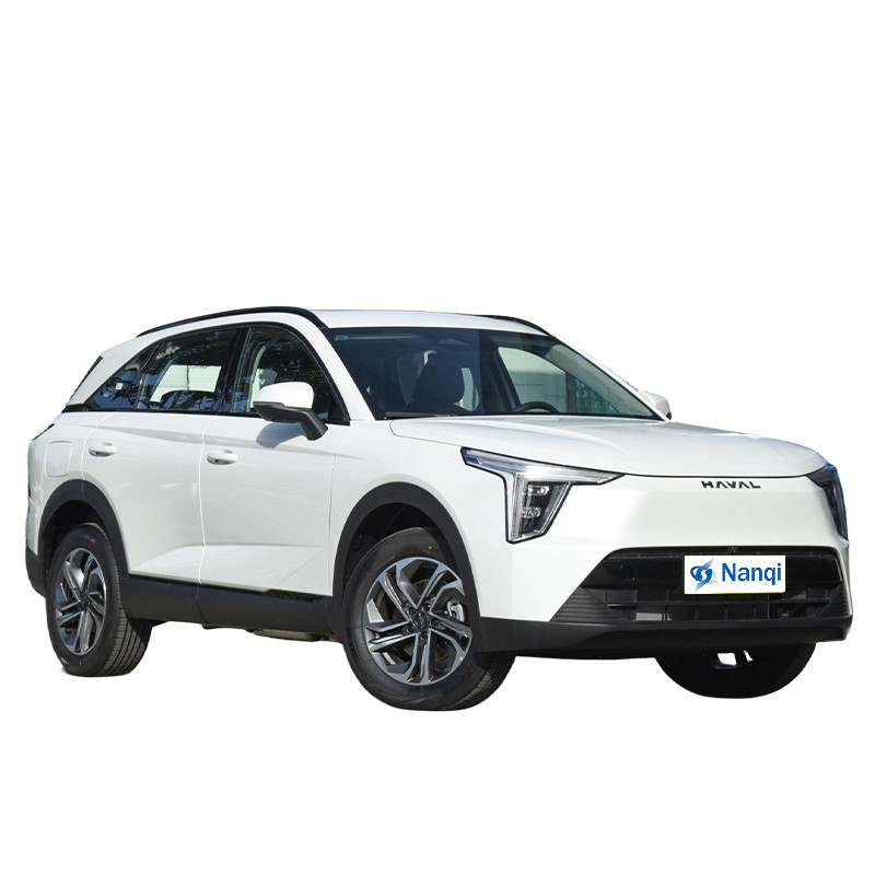 5 porte 5 posti in auto ibrida Haval Xiaolong