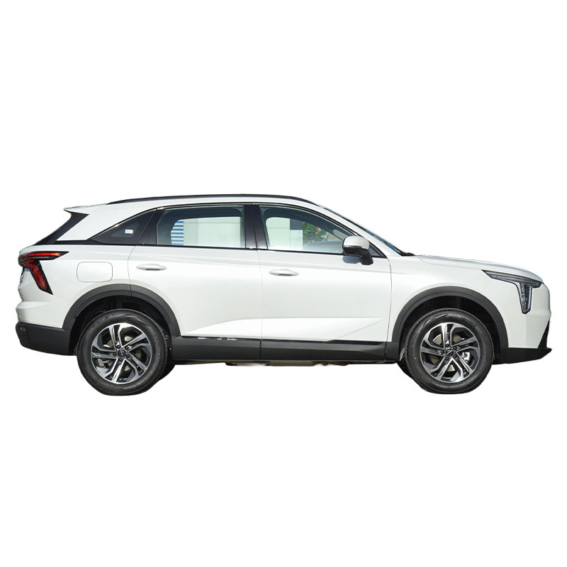 5 porte 5 posti in auto ibrida Haval Xiaolong