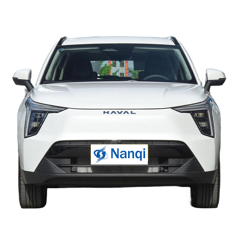 5 porte 5 posti in auto ibrida Haval Xiaolong