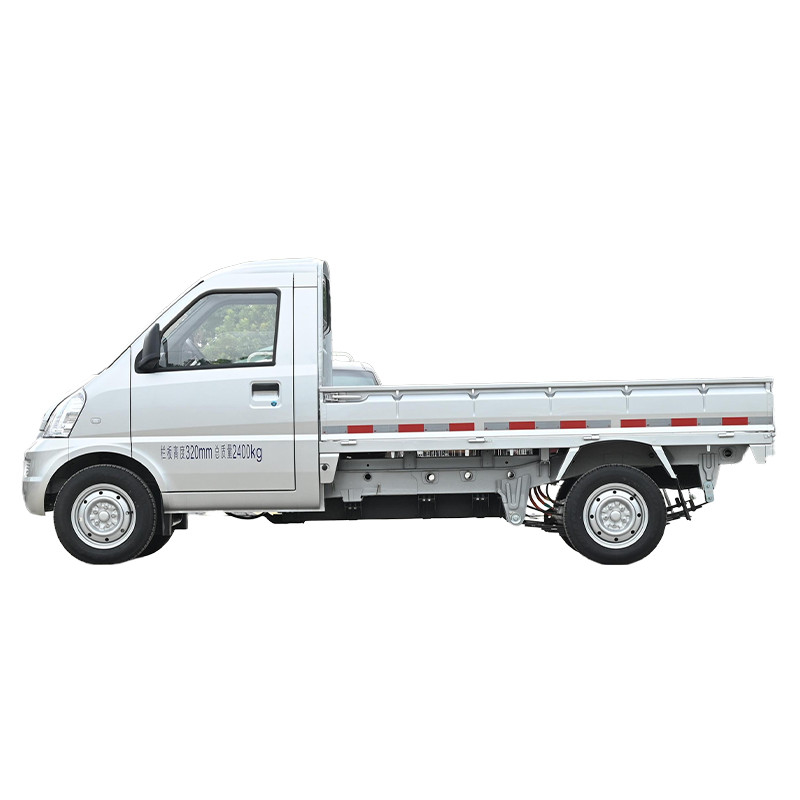 Wuling Rongguang Mini Electric Truck 2 porte 2 posti a sedere in fila sola confortevole